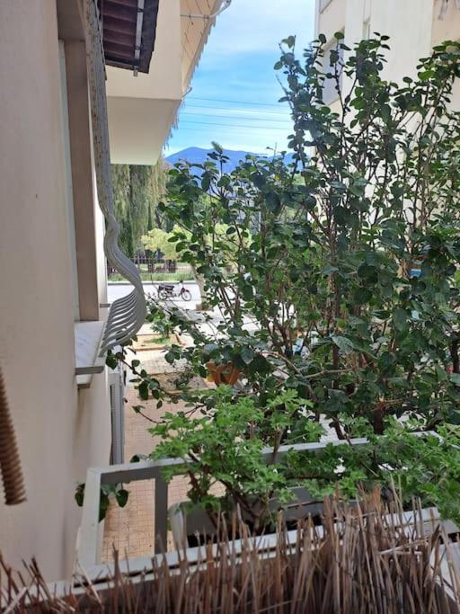 Δίπλα Στο Πάρκο Apartment Kalamata Bagian luar foto
